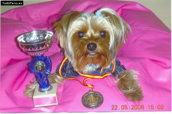 La foto del perro