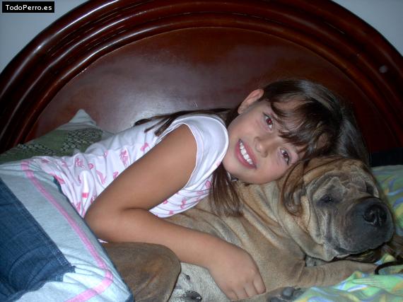 La foto del perro