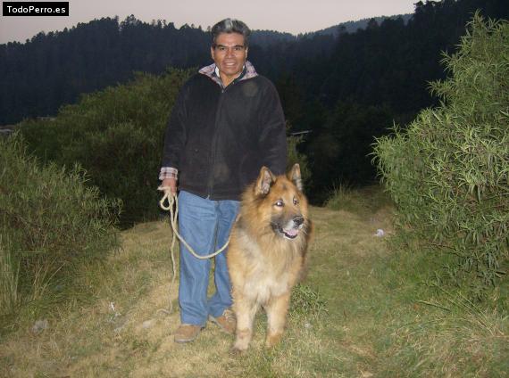 La foto del perro