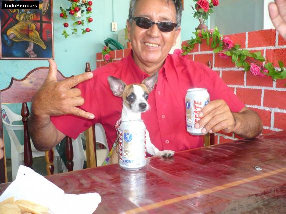 La foto del perro