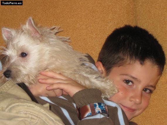 La foto del perro