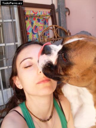 La foto del perro