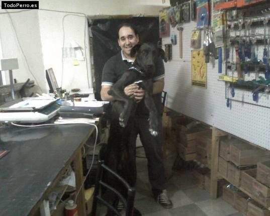 La foto del perro