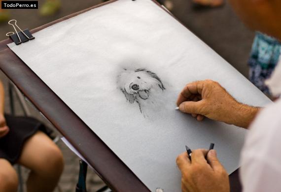 La foto del perro