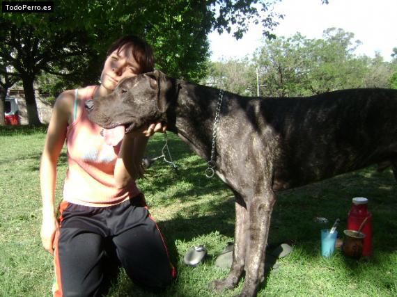 La foto del perro