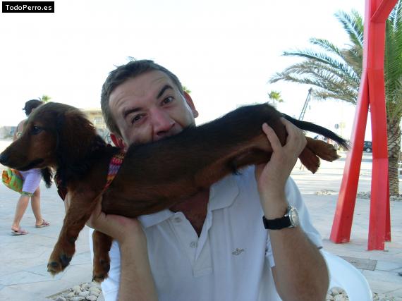 La foto del perro