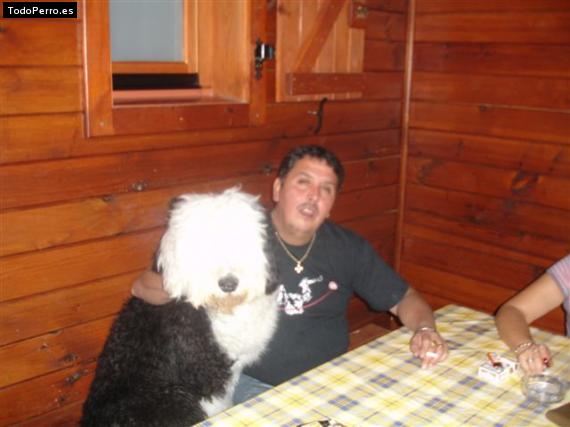 La foto del perro
