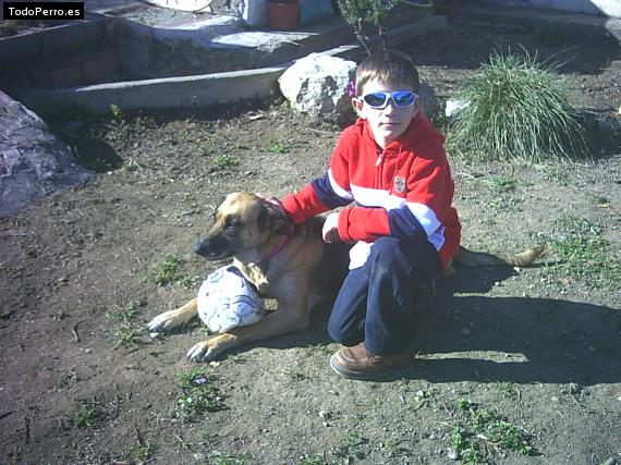 La foto del perro