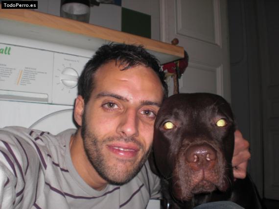 La foto del perro