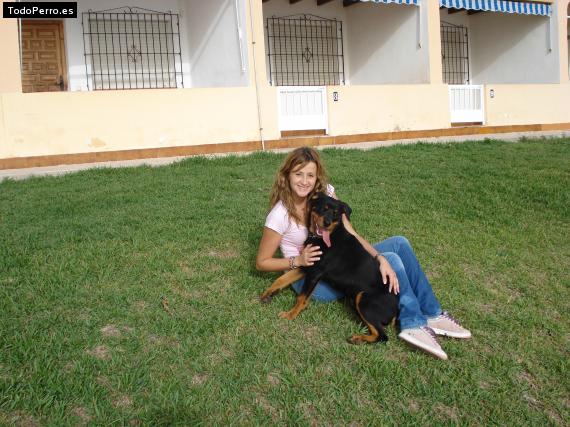 La foto del perro