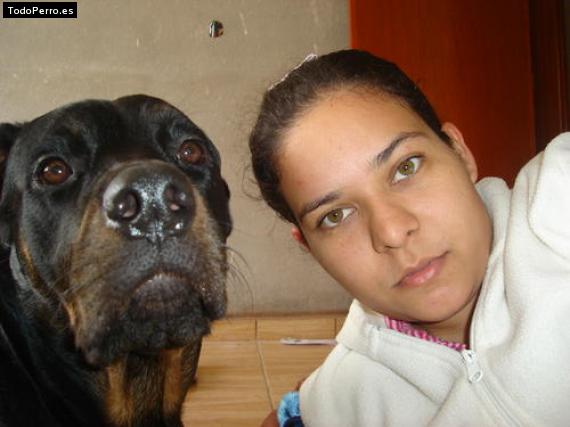 La foto del perro