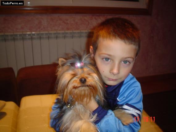 La foto del perro