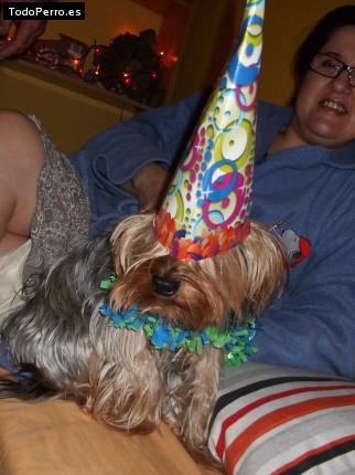 La foto del perro