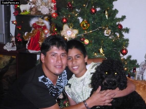 La foto del perro
