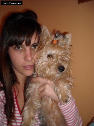 La foto del perro