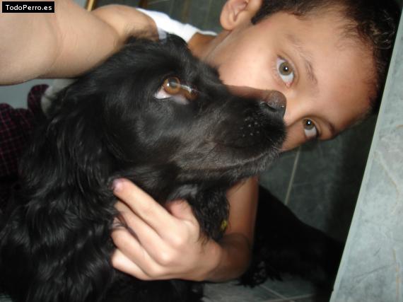 La foto del perro