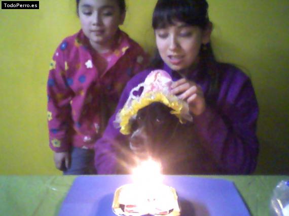 La foto del perro