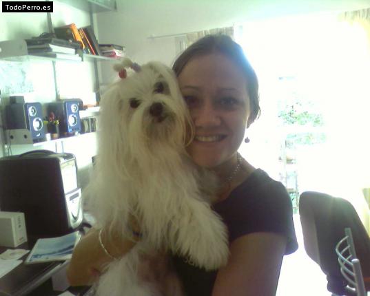 La foto del perro