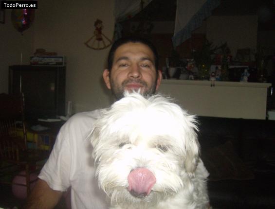 La foto del perro