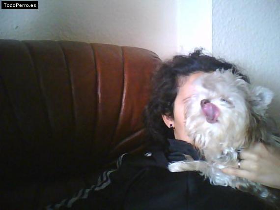 La foto del perro