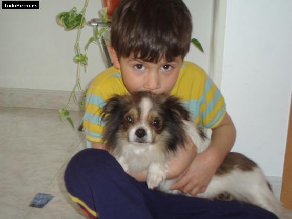 La foto del perro