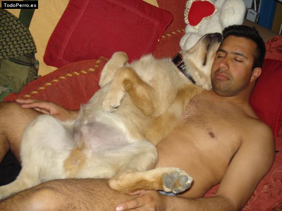 La foto del perro