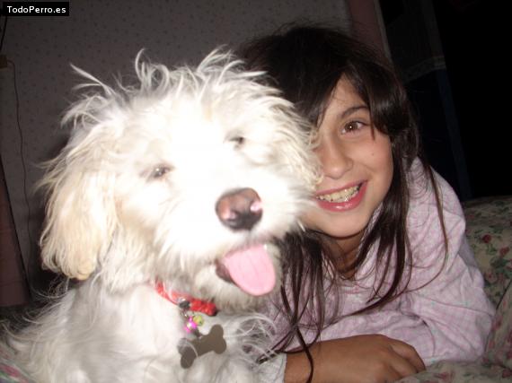 La foto del perro
