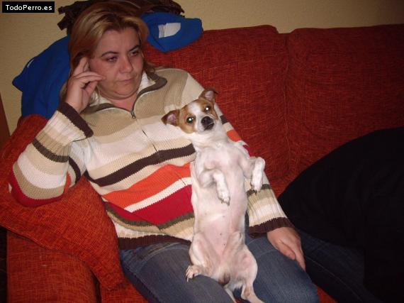 La foto del perro