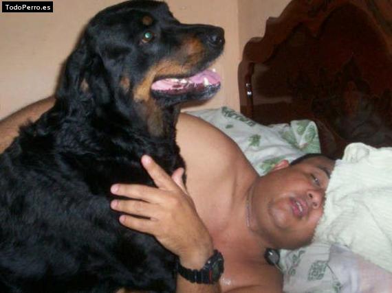 La foto del perro