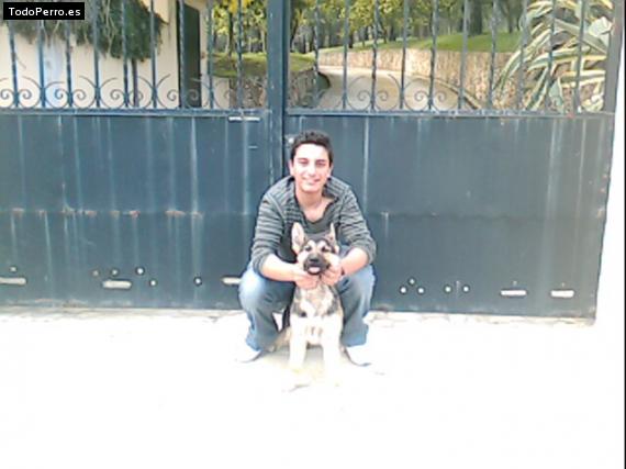 La foto del perro