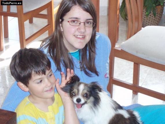 La foto del perro