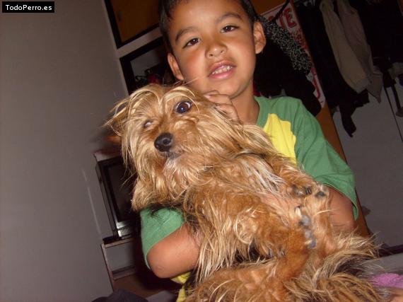 La foto del perro