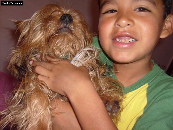 La foto del perro