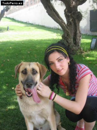 La foto del perro