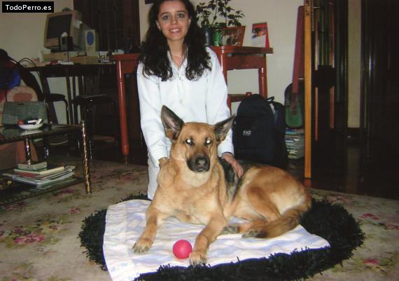 La foto del perro