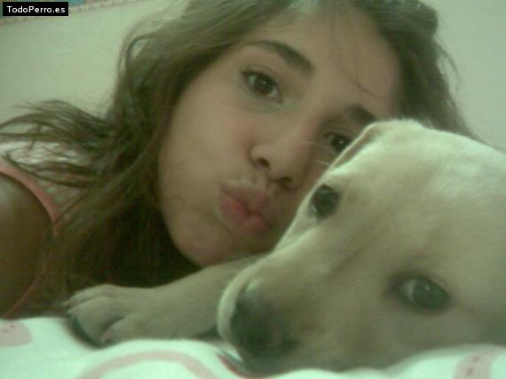 La foto del perro