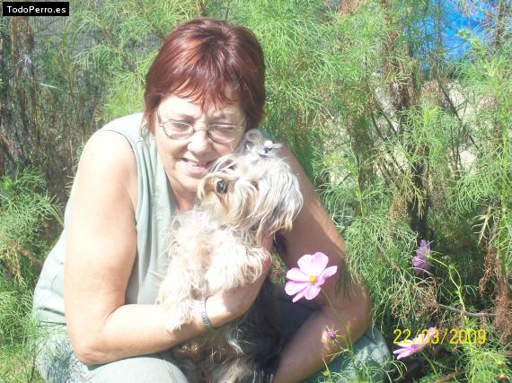 La foto del perro