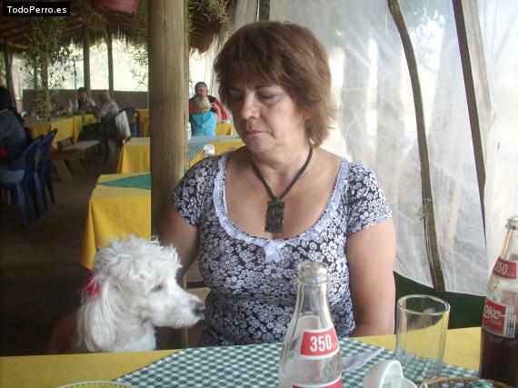 La foto del perro