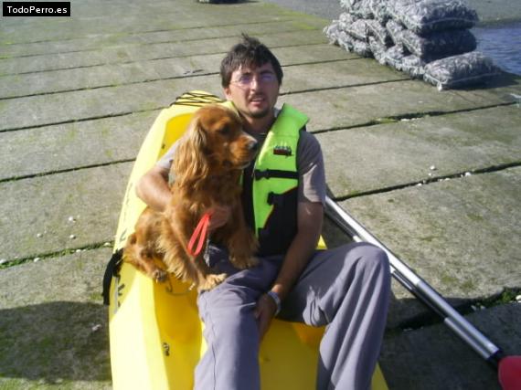 La foto del perro