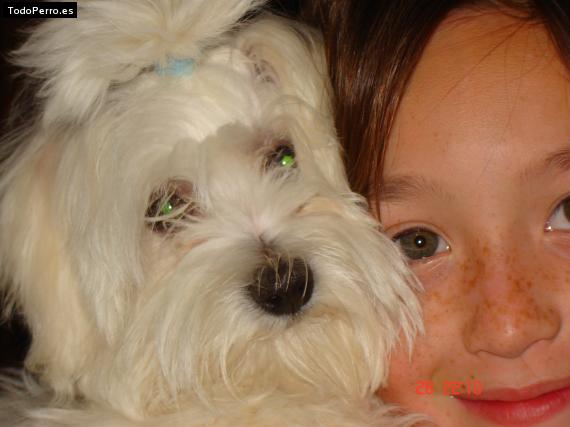 La foto del perro