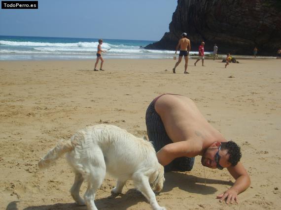 La foto del perro