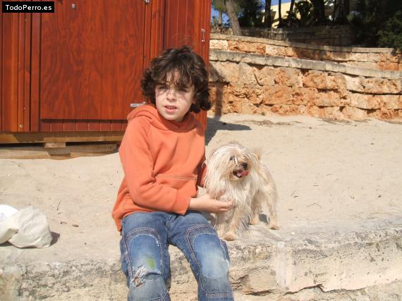 La foto del perro
