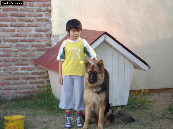 La foto del perro