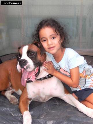 La foto del perro