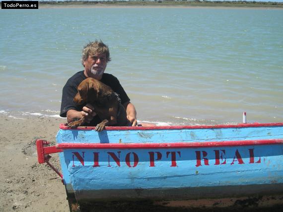 La foto del perro