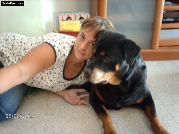 La foto del perro