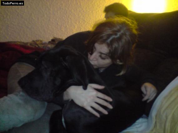 La foto del perro