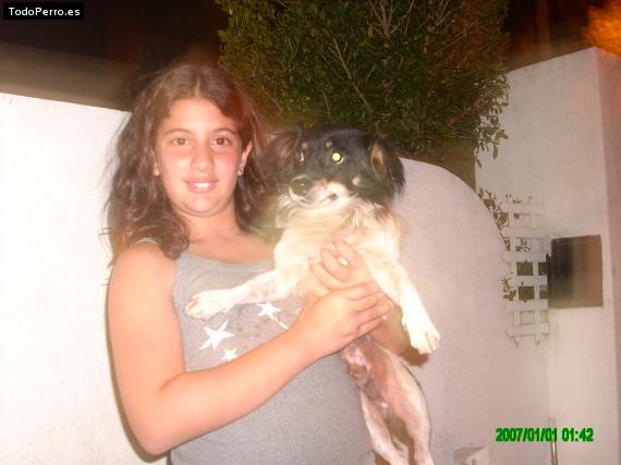 La foto del perro