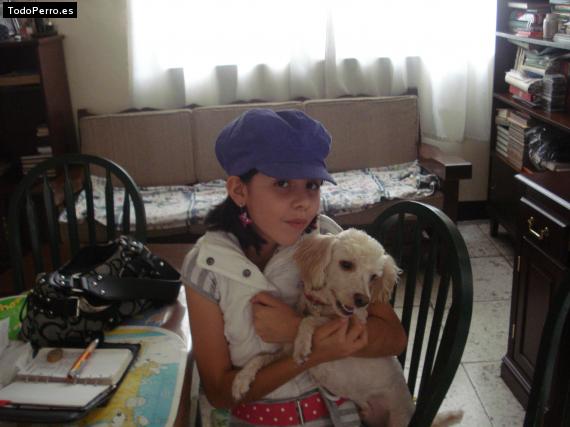 La foto del perro