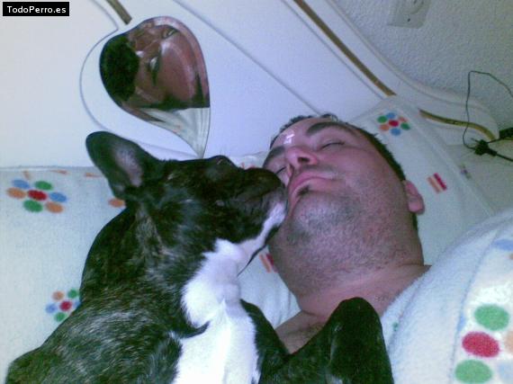 La foto del perro